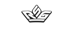 RSG電子