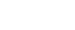 DG真人
